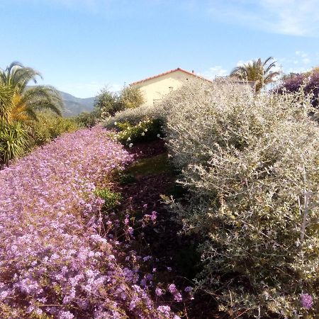Appartamento Taggiasca A Riva Trigoso 东塞斯特里 外观 照片